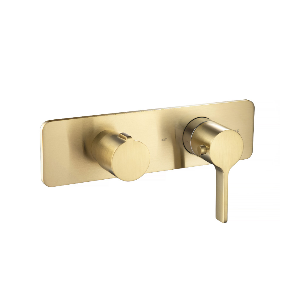 Thermostatische douchemengkraan - 2 uitgangen | Geborsteld messing PVD