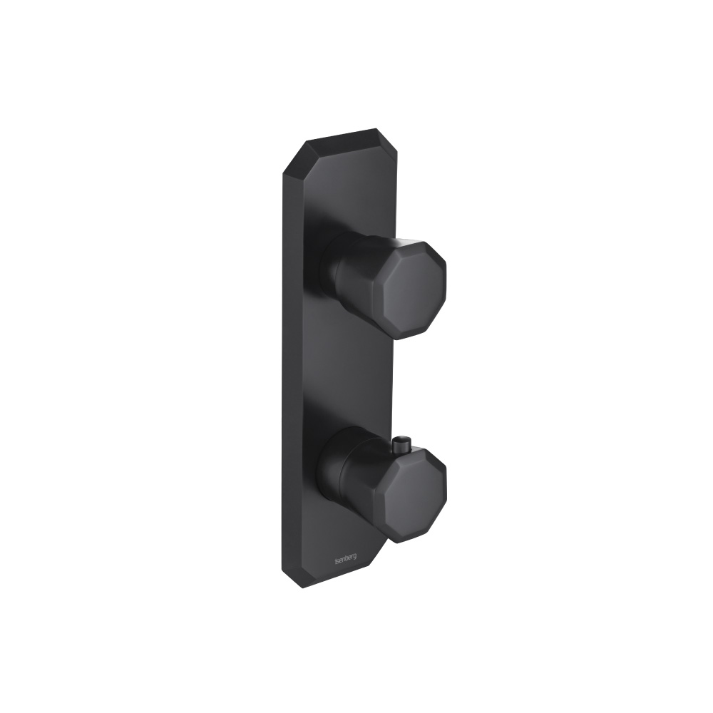 Thermostatische douchemengkraan - 2 uitgangen | Mat zwart
