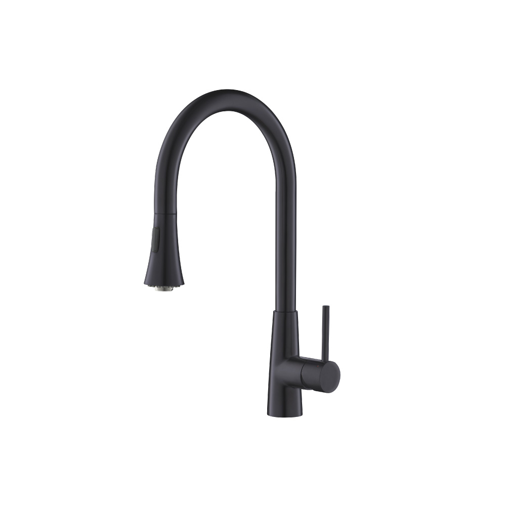 RVS Keukenkraan met uittrekbare vuistdouche | Dark Grey
