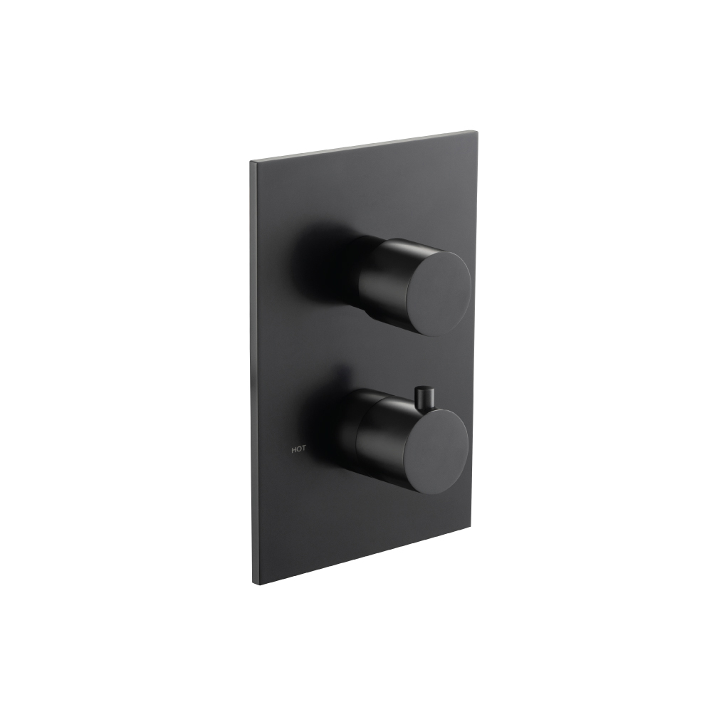 Thermostatische douchemengkraan - 2 uitgangen | Mat zwart