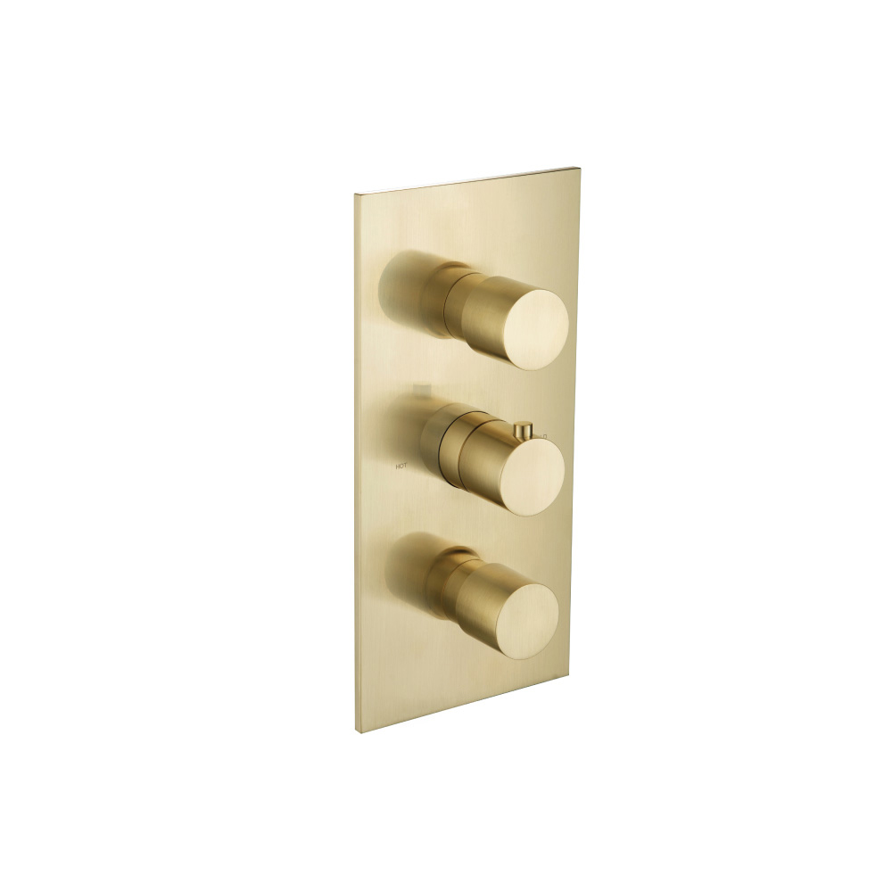 Thermostatische douchemengkraan - 2 uitgangen | Geborsteld messing PVD