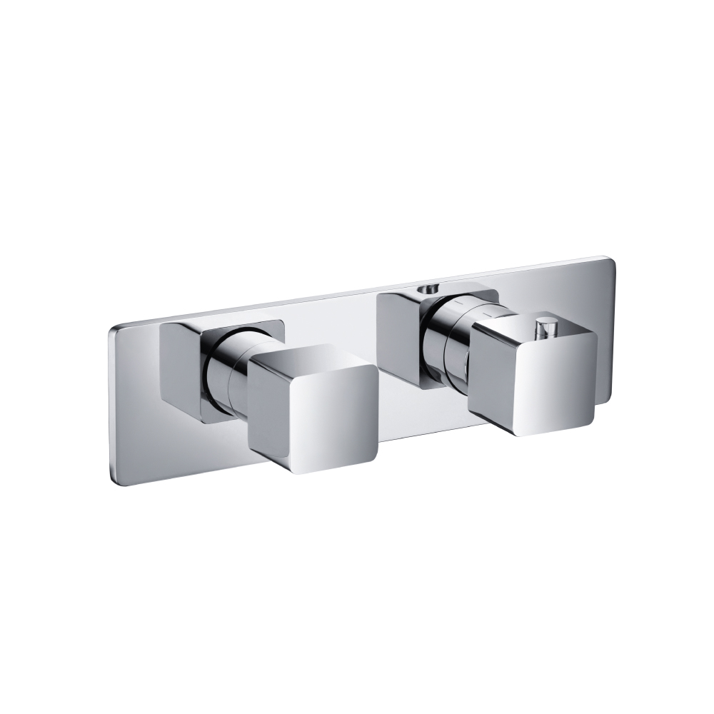 Thermostatische douchemengkraan - 2 uitgangen | Mat zwart