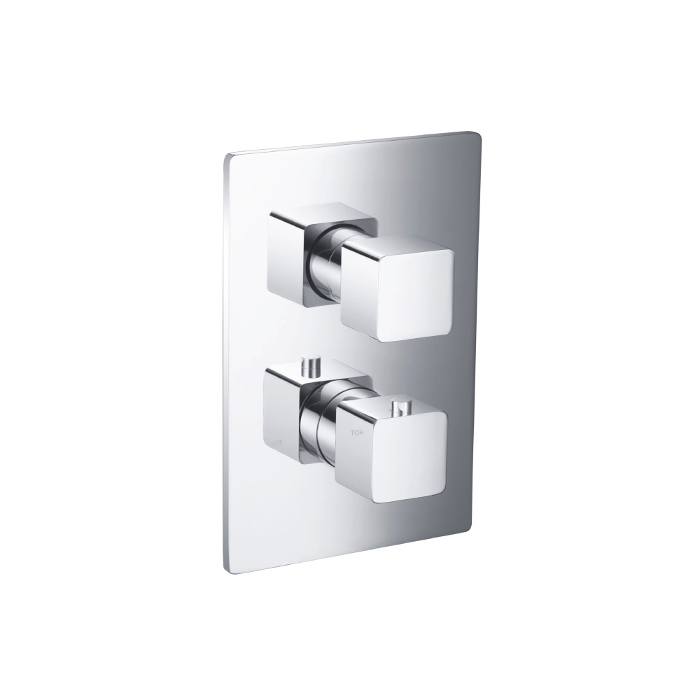 Thermostatische douchemengkraan - 1 uitgang | Chroom