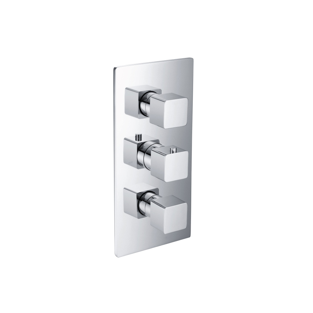 Thermostatische douchemengkraan - 2 uitgangen | Chroom