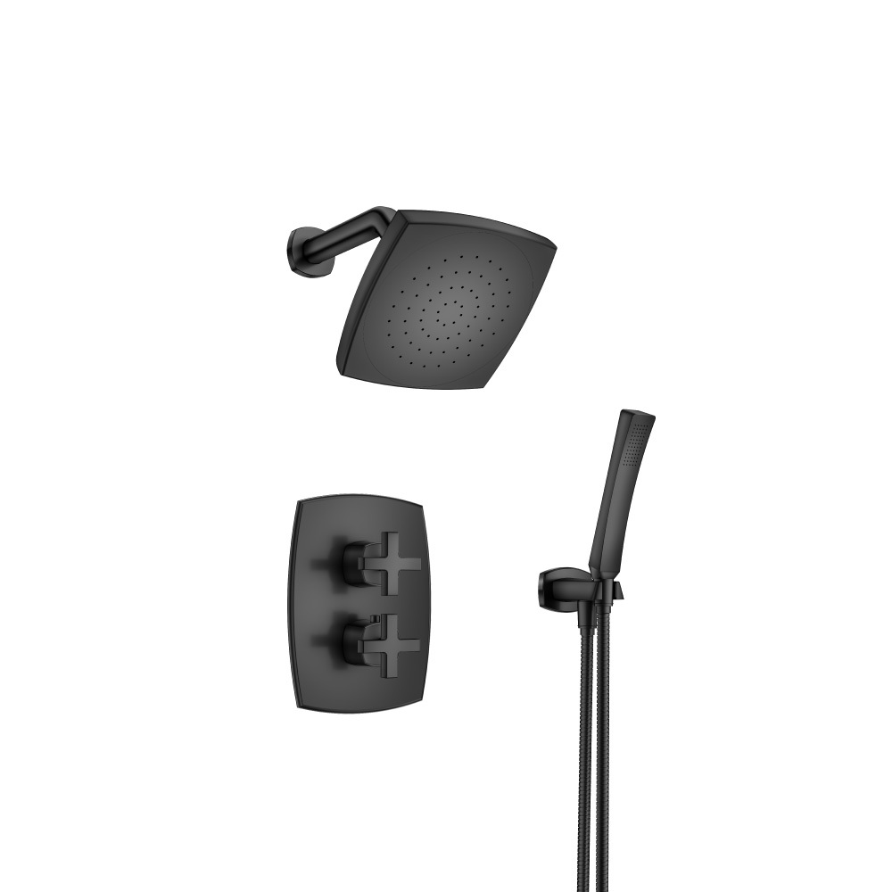 Two Output Shower Set With Shower Head And Hand Held | Mat zwart